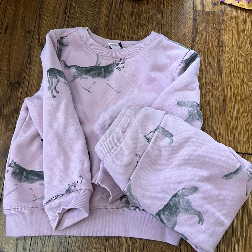 Tea Collection sweats,